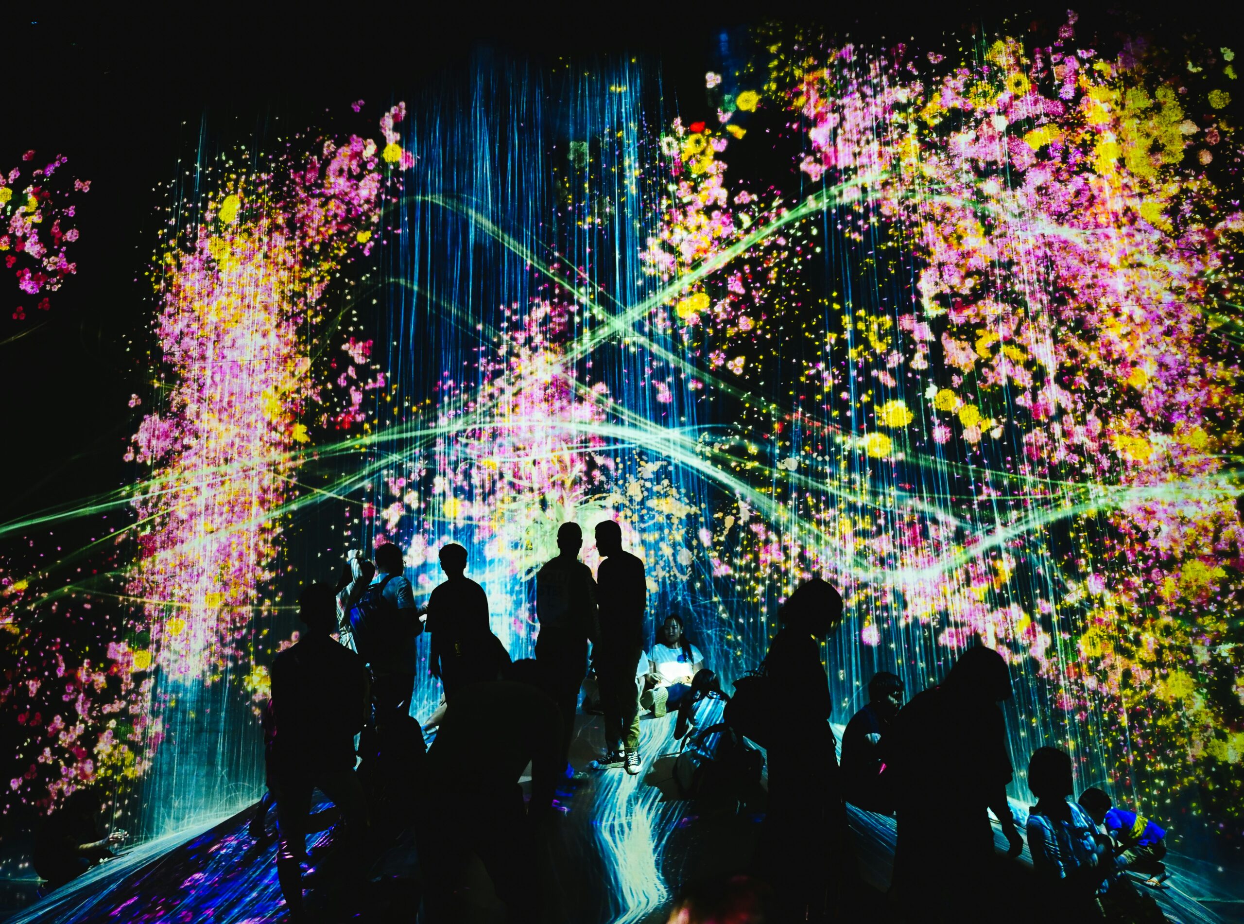 Digital Immersive Experience