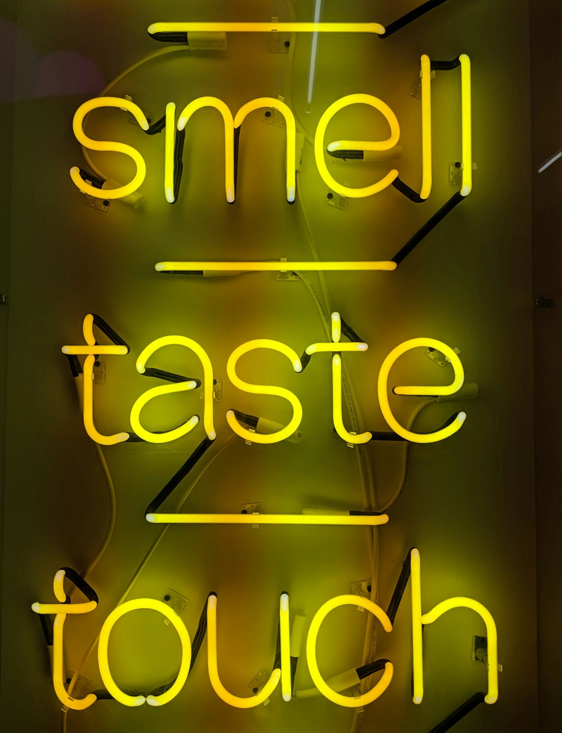 Introspection From a Sensory Immersive Experience