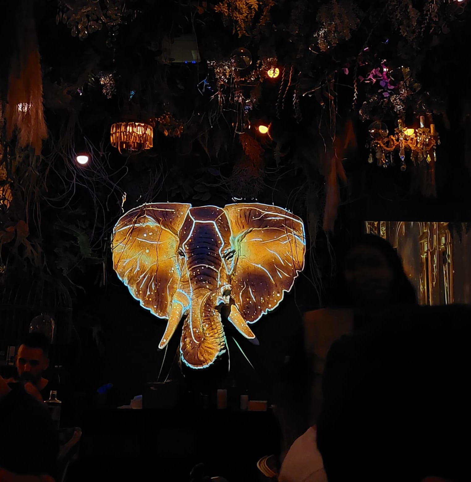 Can Immersive Dining Work? | Jungle Palace and Stellar